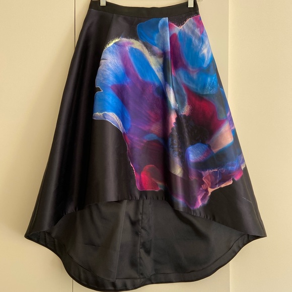 Gorgeous Ted Baker skirt - Picture 5 of 8